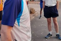 FunRun-11-Oct-2022-at-20.44.07-2